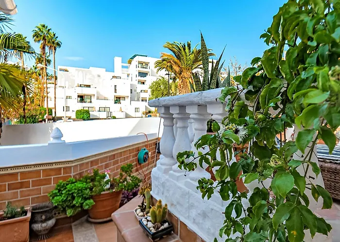 On Torviscas Адехе