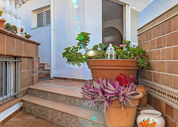 On Torviscas * Адехе